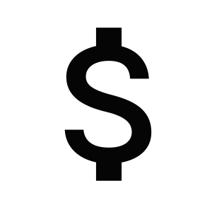 money icon