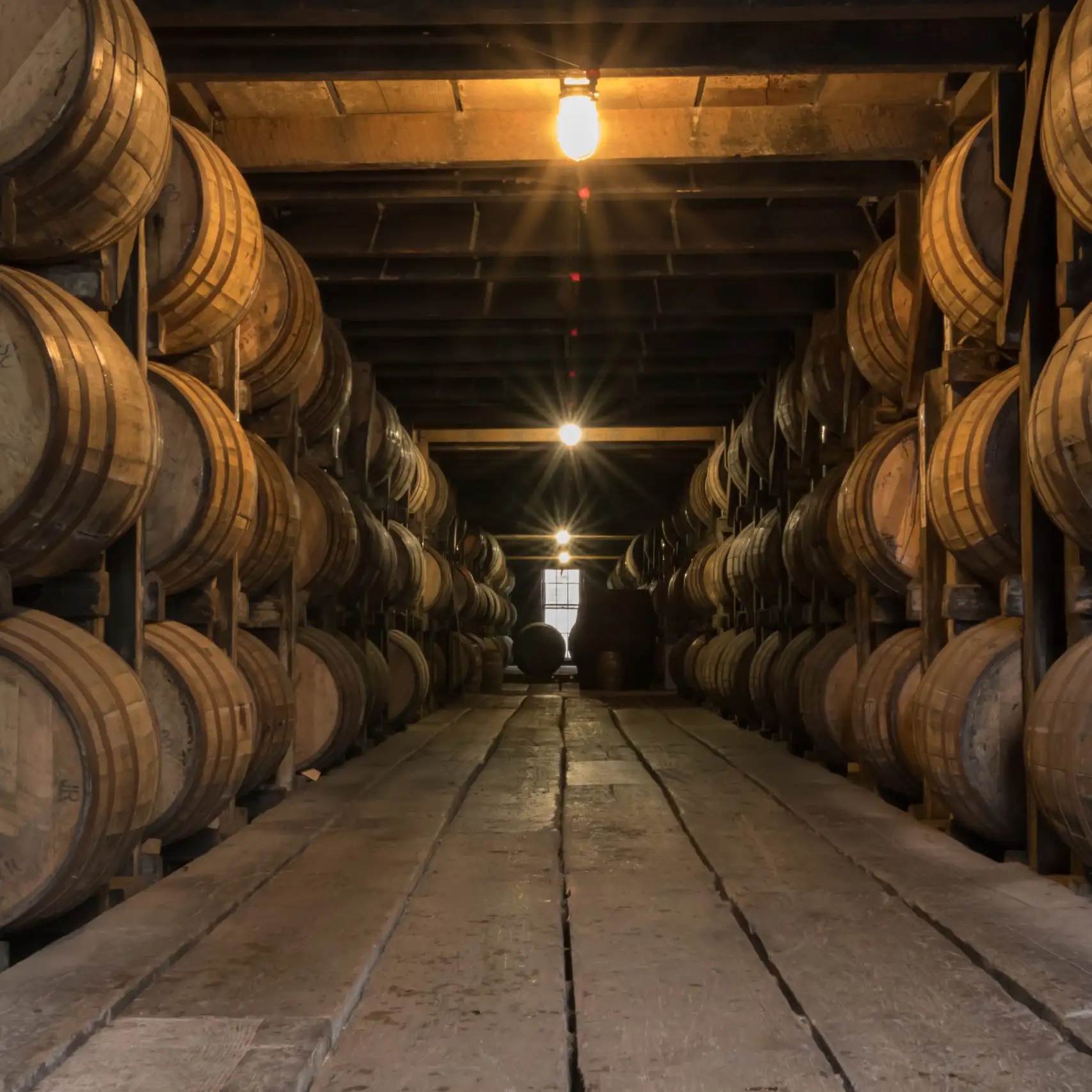 kentucky bourbon